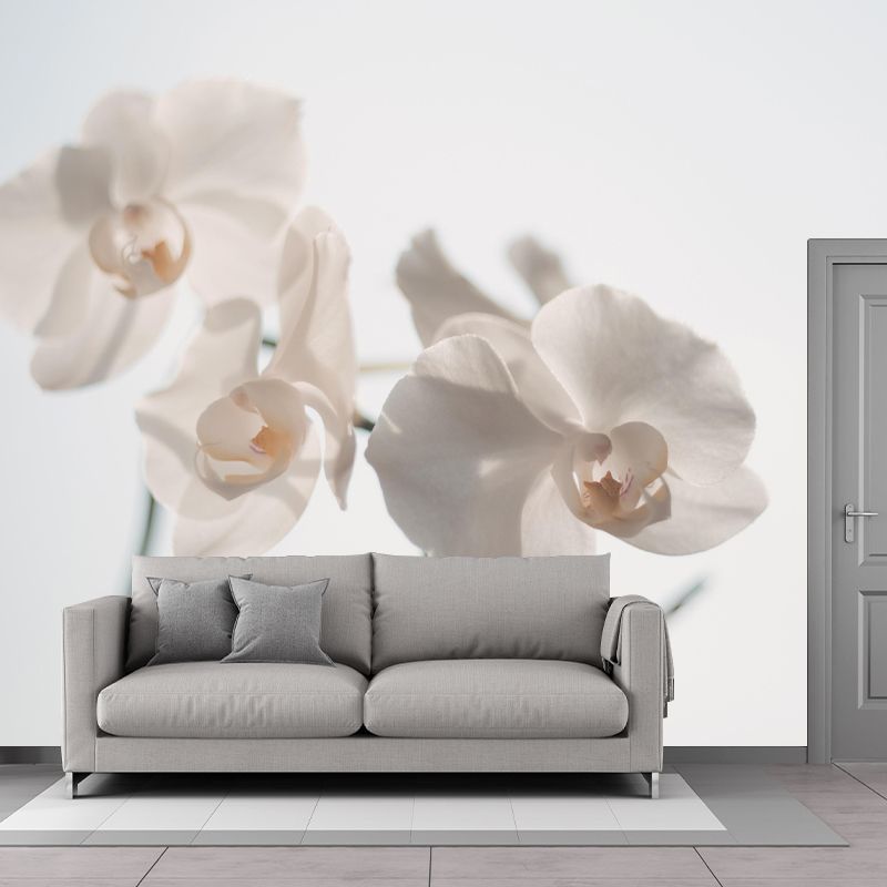 Customized Blooming Orchid Mural Wallpaper Contemporary for Guest Room Decor