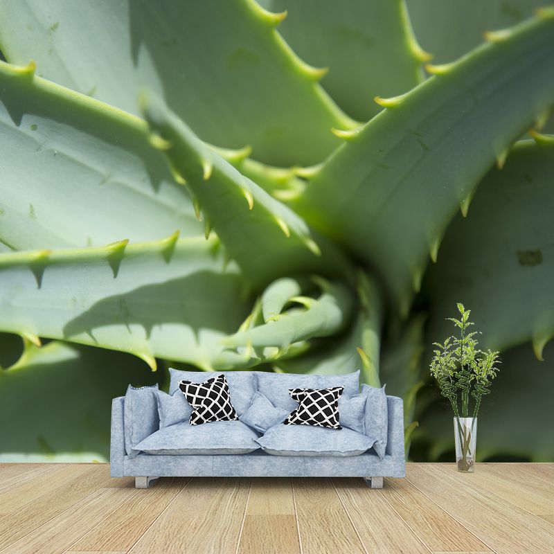 Aloe Plant Mural Wallpaper for Reading Room Bedroom, Custom Size Available