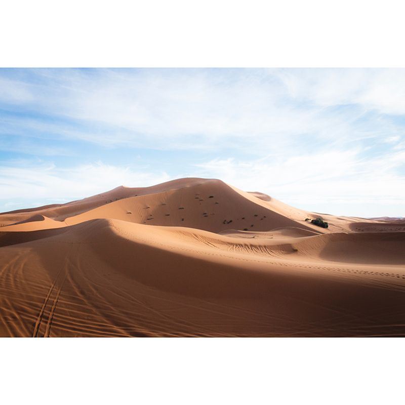 Wallpaper Environmental Wall Mural Desert Landscape Living Room Wall Mural