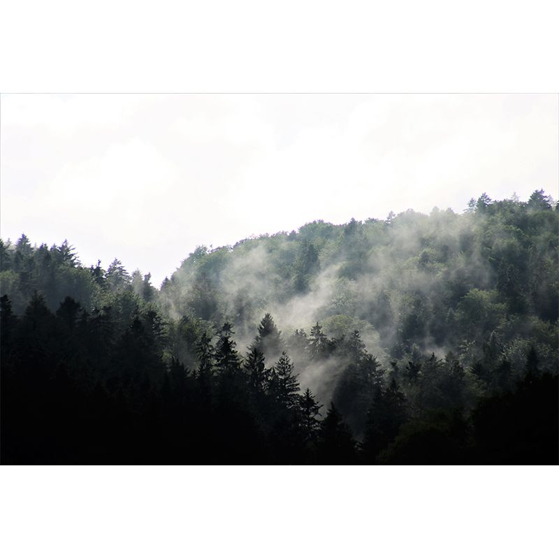 Contemporary Decorative Murals Forest Sitting Room Wall Murals