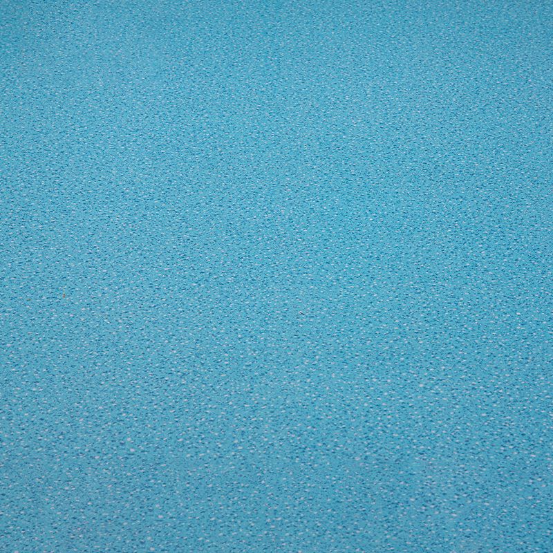Indoor Flooring Peel and Stick Coiled PVC 200cm Waterproof Vinyl Floor