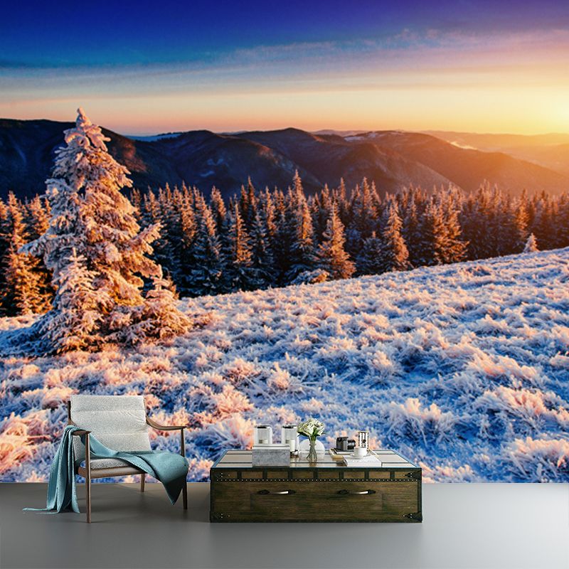 Orange Sunset View Mural Aerial View of Winter Forest Modern Washable Wall Decor