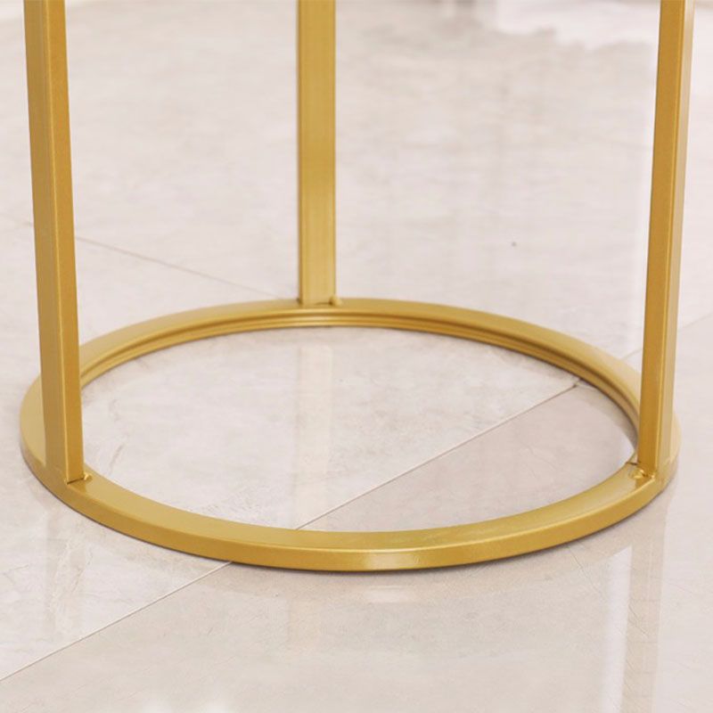 Contemporary Round Shape Standard Stain Resistant Indoor Standard