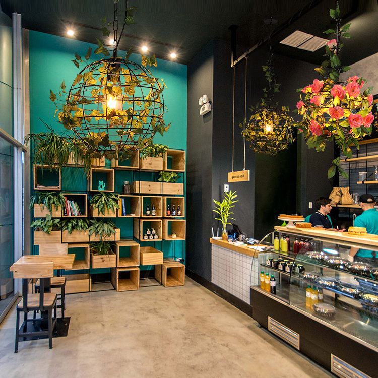 1-Licht Globe Metal Cage Pflanze Dekorative hängende leichte Einfachheitstil Moderne Anhängerlampe