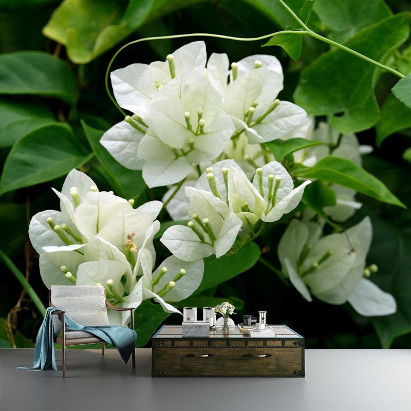 Blooming Bougainvillea Mural Wallpaper Environmental Contemporary for Bedroom