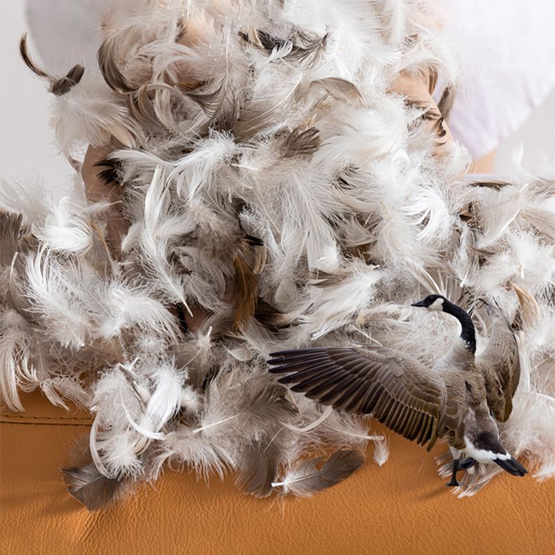 Genuine Leather Square Arm Bench Seating with Bolster Pillows Brown Settee Furniture