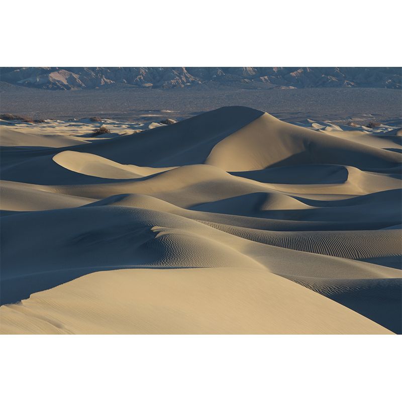 Barren Area Photography Desert Mural Modernism Wall Covering for Decoration