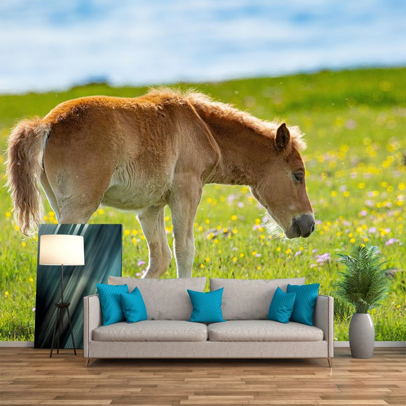Photography Animal Horse Mural Wallpaper Environment Friendly for Living Room