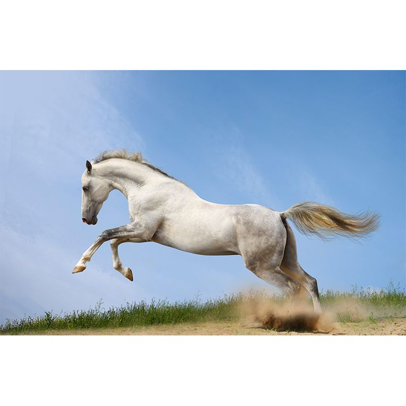 Environment Friendly Mural with White Horse Painting Mildew Resistant Wallpaper Home Decor