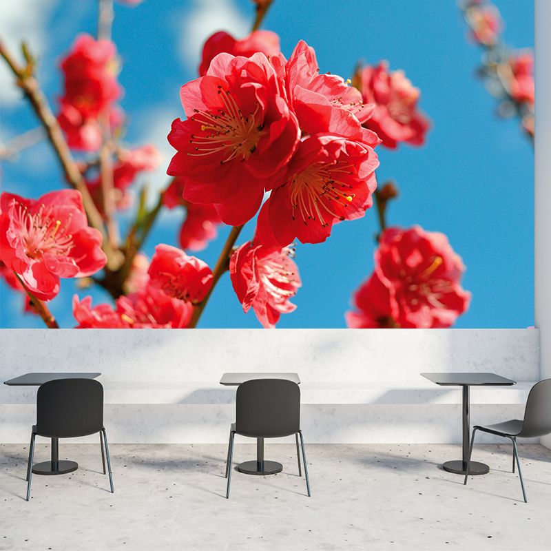 Peach Flower Blooming Wall Mural Photography Modern Living Room Wall Covering