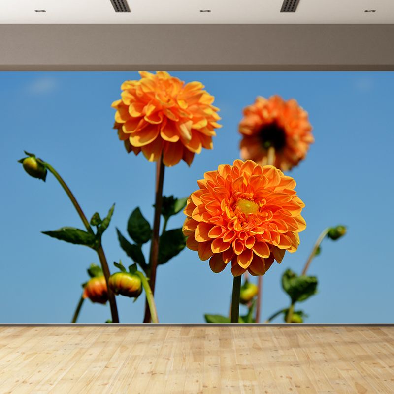 Fragrant Dahlia Mural Wallpaper for Girl Bedroom, Custom Size Available