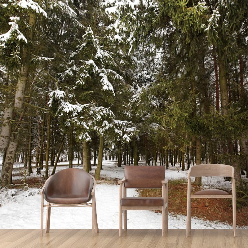 Green Winter Scenery Wall Mural Entrance to Snow Forest Modern Waterproof Wall Art for Home