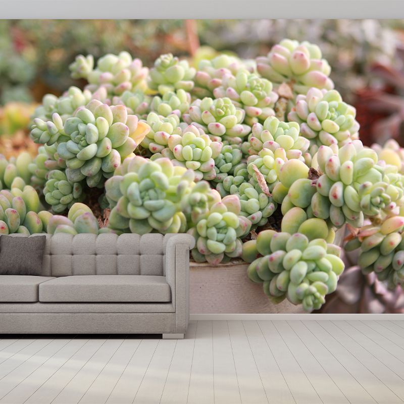 Vivid Green Plants Wall Decal Removable Wall Paper Murals Decoration for Bedroom