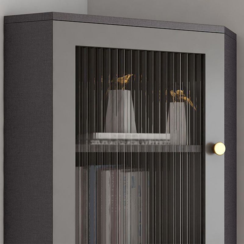 Contemporary Storage Cabinet with Shelf and Glass 2 - Door Cabinet