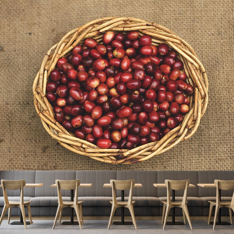 Soft Color Coffee Beans Wallpaper Murals Environment Friendly for Coffee Shop