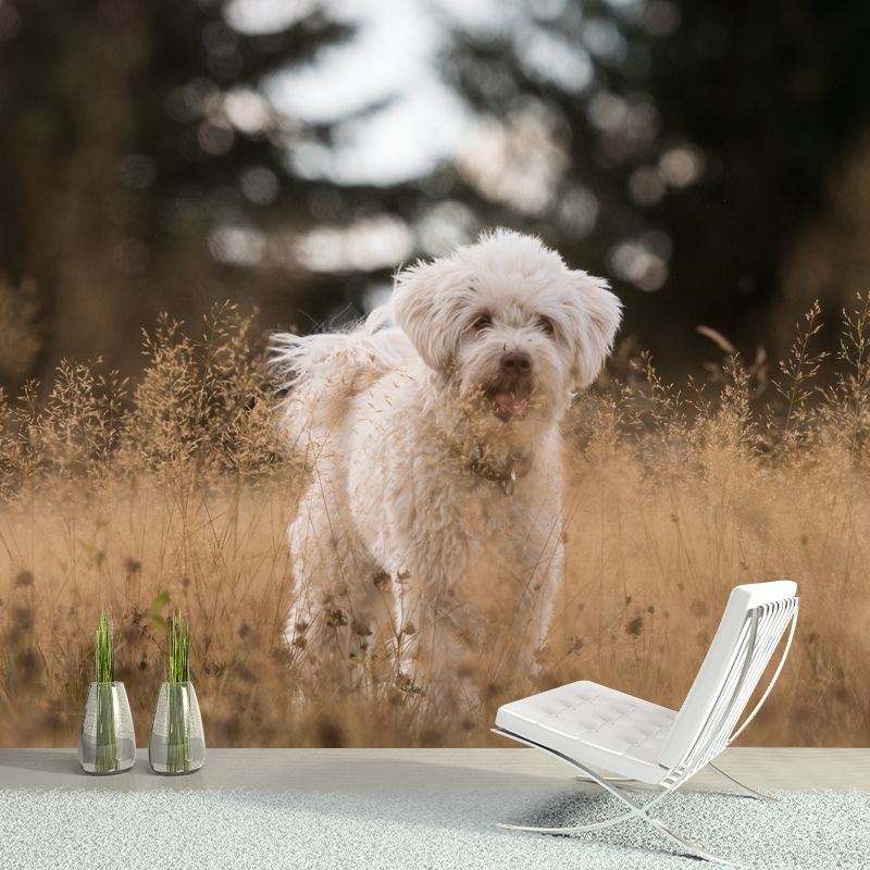 Cute Dog Mural Wallpaper Photography Mildew Resistant for Living Room Bedroom