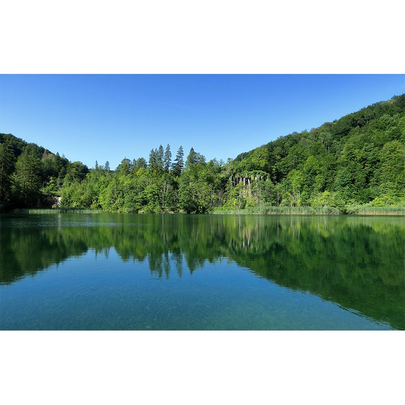 Mountain Forest Style Forest Wall Mural Wallpaper Photography Mildew Resistant for Bedroom