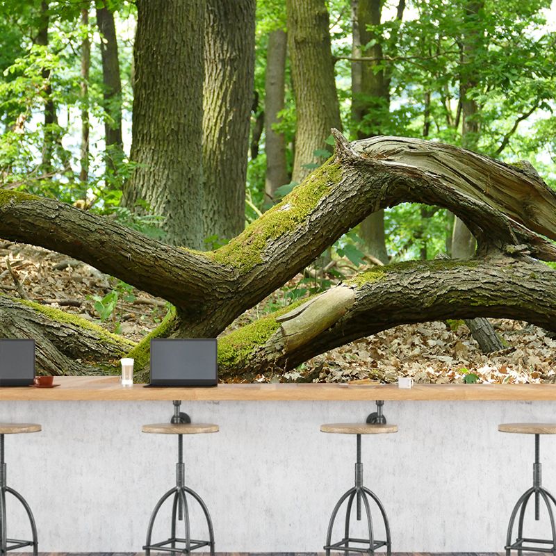 Customized Summer Forest Wall Mural Mildew Resistant Wall Decor for House Interior