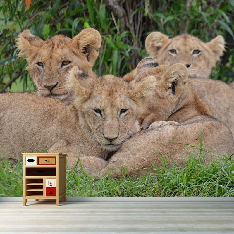 Modern Style Little Lion Mural Wall Decor Mildew Resistant Living Room Wall Mural Wall Art