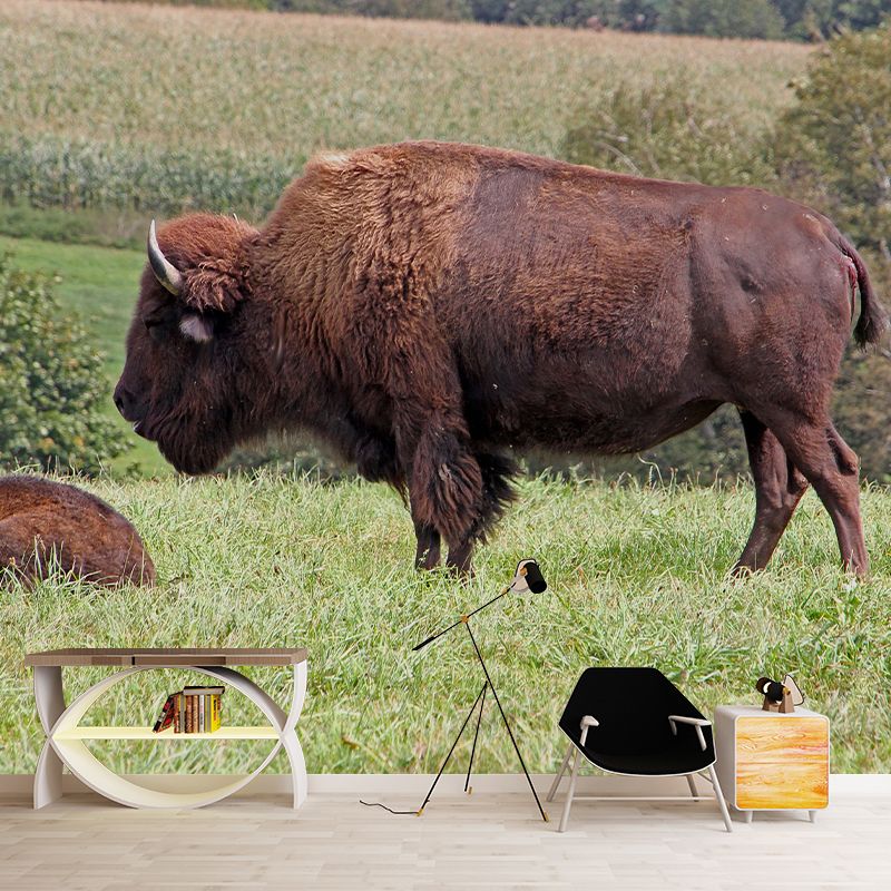 Bison Wall Covering for Sitting Room Water Resistant Mural, Made to Measure