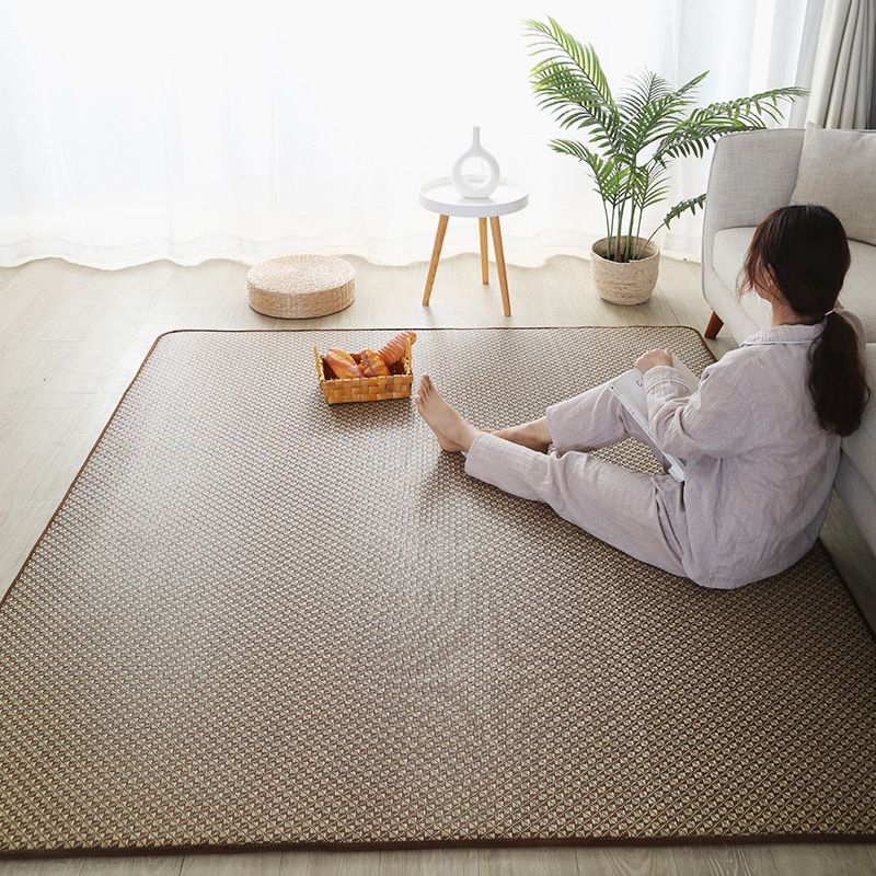 Brown Country Area Rug Sisal Pure Color Rug Stain Resistant Rug for Living Room