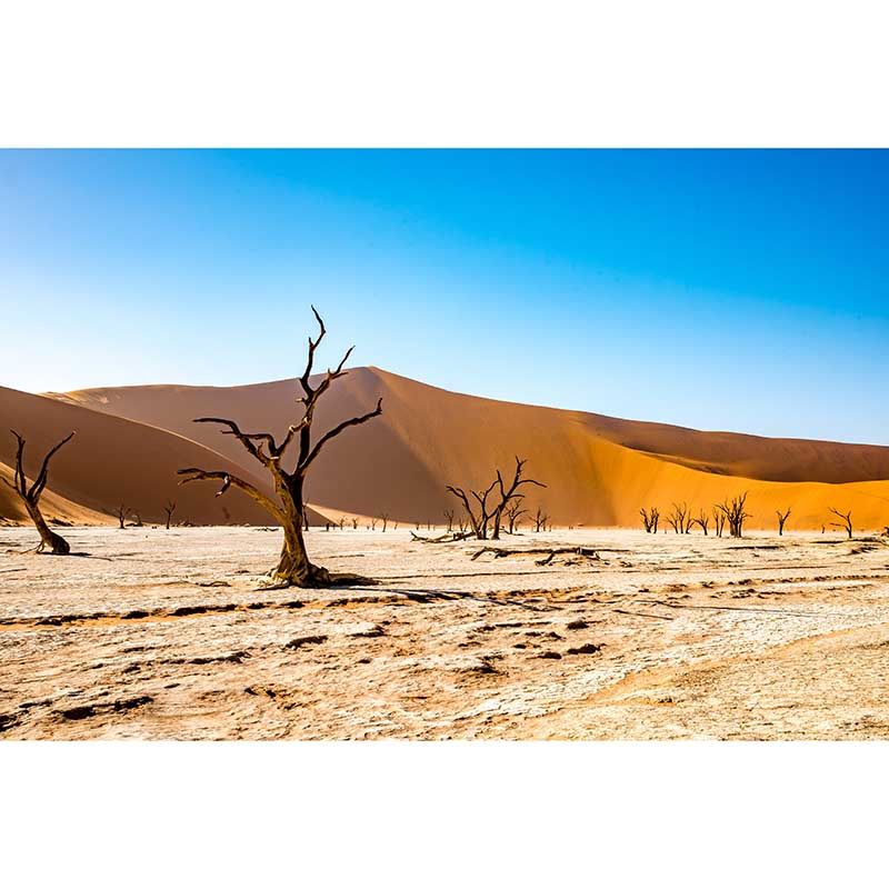 Desert Wall Mural Yellow Wall Covering for Sitting Room, Made to Measure