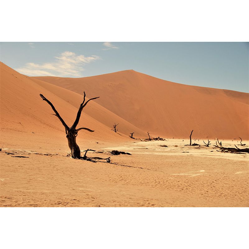 Dining Room Wall Mural Wallpaper Modern Desert Mildew Resistant Wall Decor