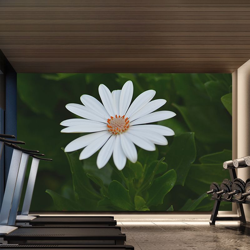 Soft Color Flower Wall Mural Decal Moisture Eco-friendly Wallpaper for Sitting Room