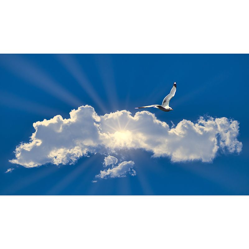 White Clouds View Wall Murals Moisture Resistant Wall Covering for Living Room