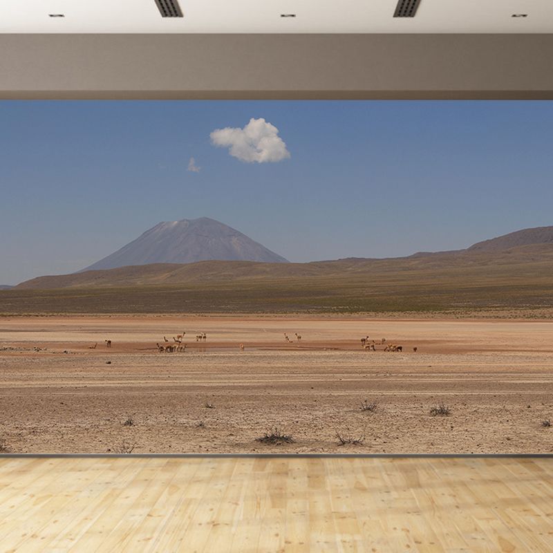 Room Mural Wallpaper Modern Desert Mildew Resistant Wall Decor