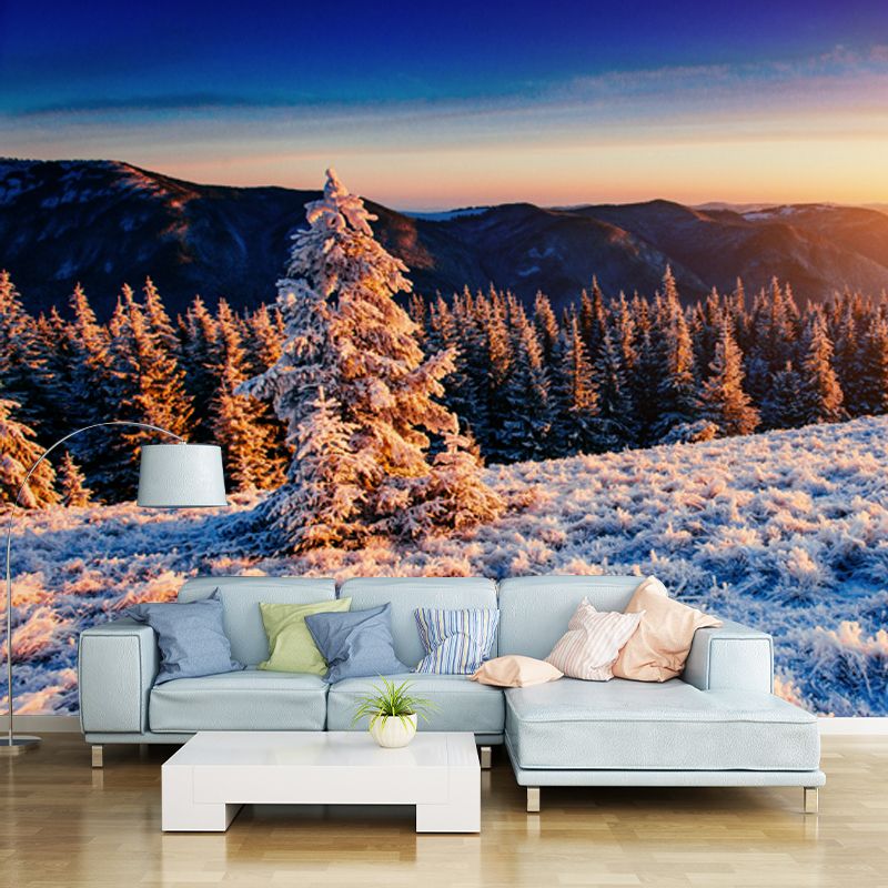 Orange Sunset View Mural Aerial View of Winter Forest Modern Washable Wall Decor