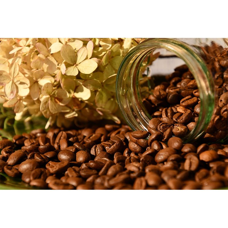 Coffee Beans Mural Contemporary Mildew Resistant Wall Covering for Coffee Shop