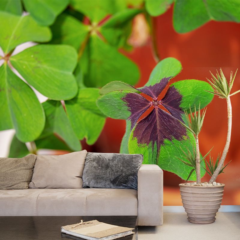 Clover Plant Mural Decal for Reading Room Study Room, Moisture Resistant