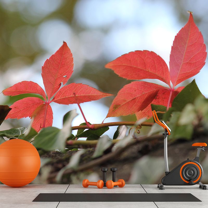 Customized Virginia-Creeper Plant Mural Wallpaper Mildew Resistant Wall Decor