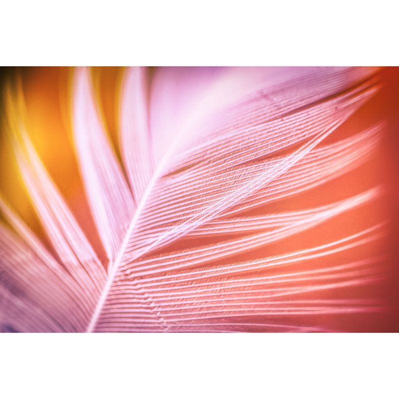 Modern Style Wall Mural Wallpaper Feather Bedroom Wall Mural