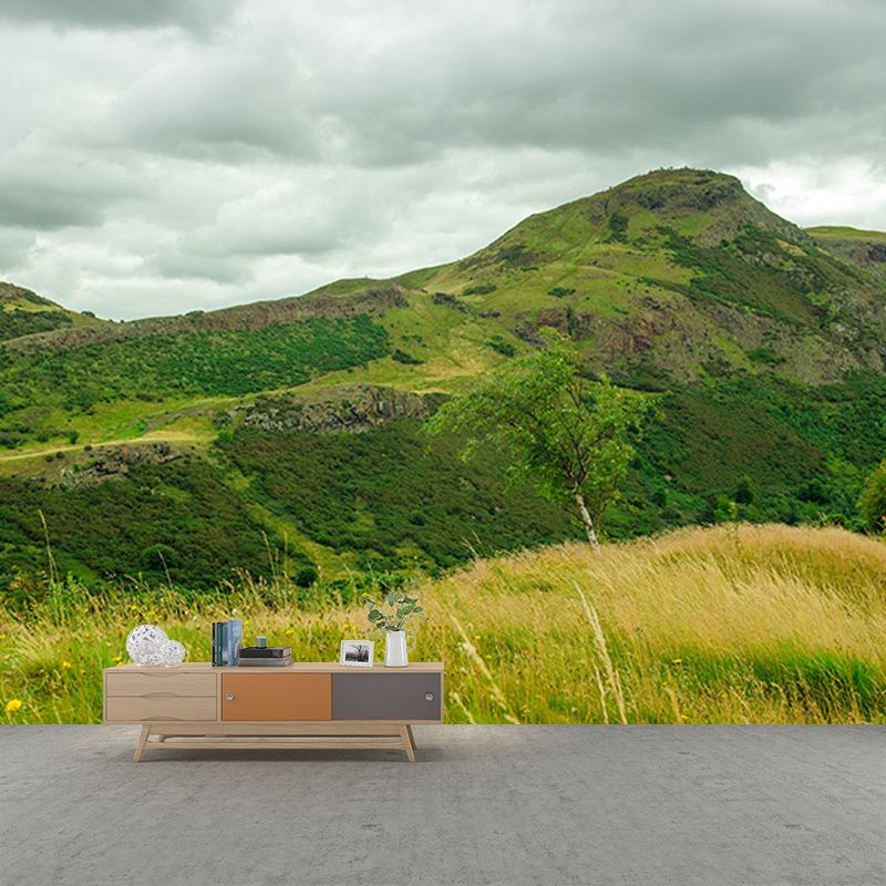 Mountain Landscape Mural Wallpaper Water Resistant Wall Covering for House Interior