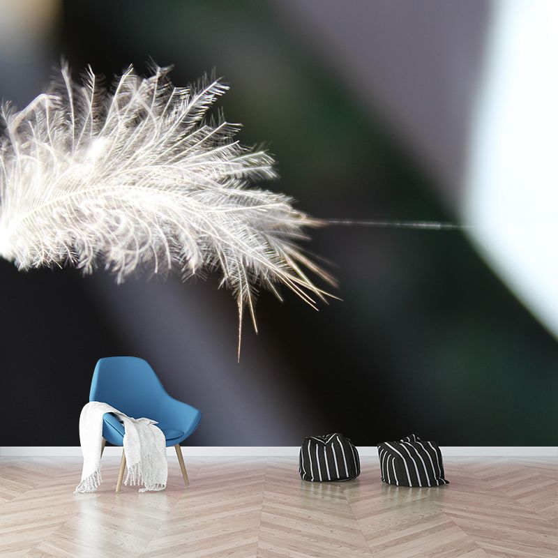 Photography Feather Mural Eco-friendly Decorative Wallpaper for Home