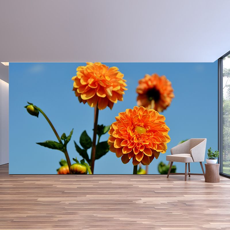 Fragrant Dahlia Mural Wallpaper for Girl Bedroom, Custom Size Available