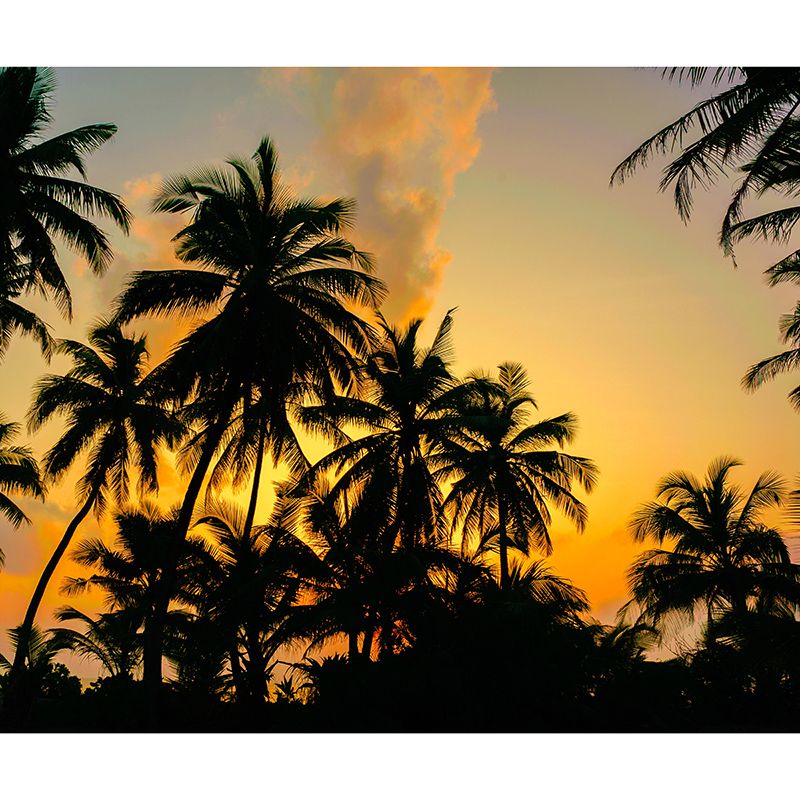Palm Tree Mildew Resistant Mural Tropical Photography Room Wall Mural
