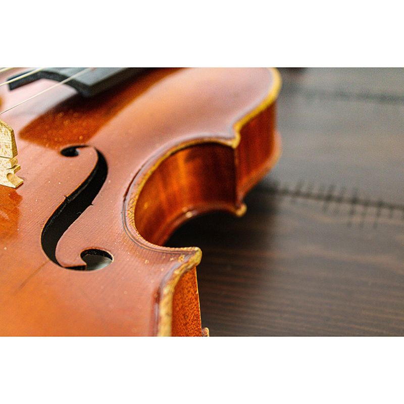 Violin Music Horizontal Photography Guitar Mural Decorative Eco-friendly for Wall Decor