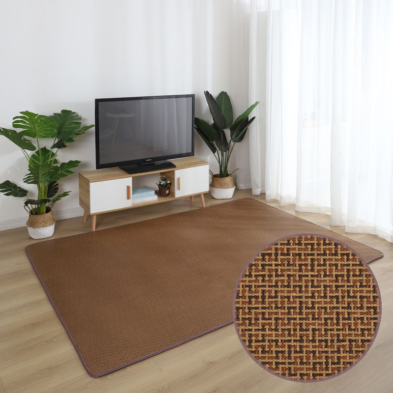 Brown Sisal Rug Polyester Countryside Rug Washable Rug for Living Room