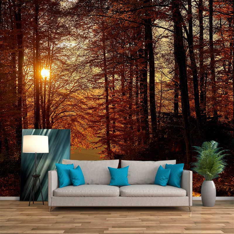 Autumn Forest Landscape Removable Wall Mural for Reading Room, Stain Resistant