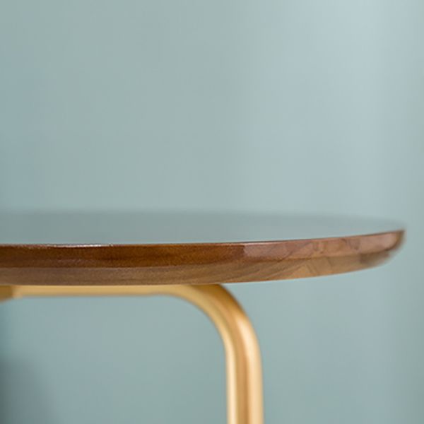 Wood Pedestal Side Table Modern Minimalist End Table for Living Room