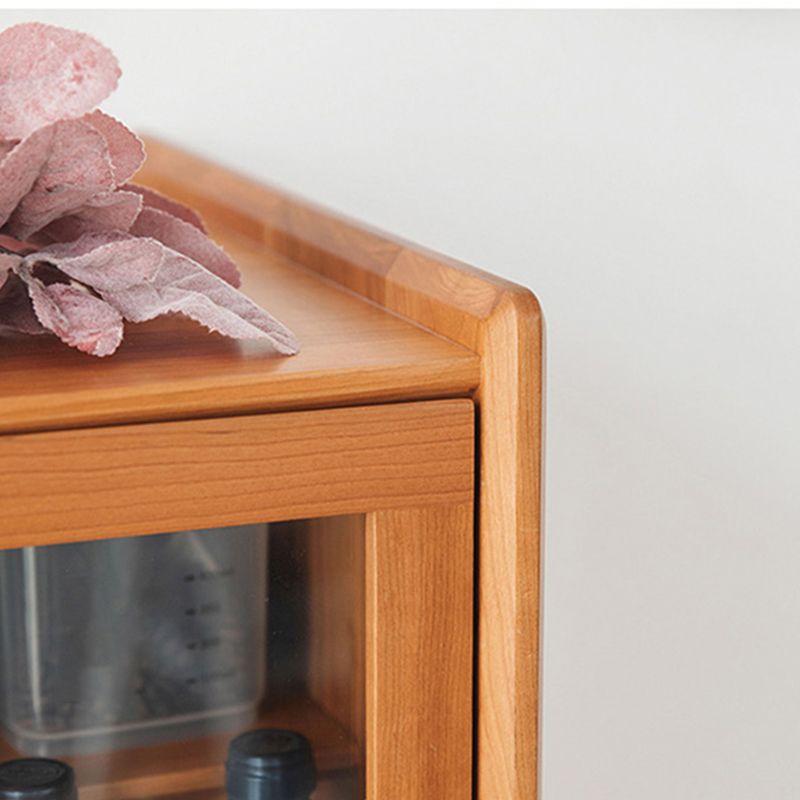 Glass Paned Cabinet Brown Pine and Cherry Accent Cabinet with Doors