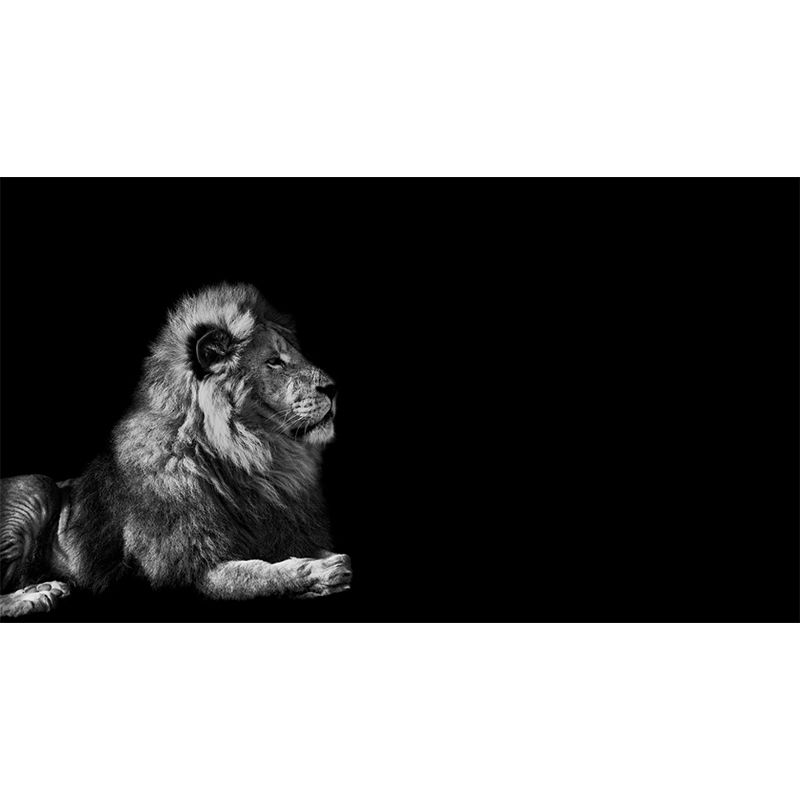 Whole Lion Wall Covering Modern Grandiose 3D Effect Mural Wallpaper in Pastel Grey