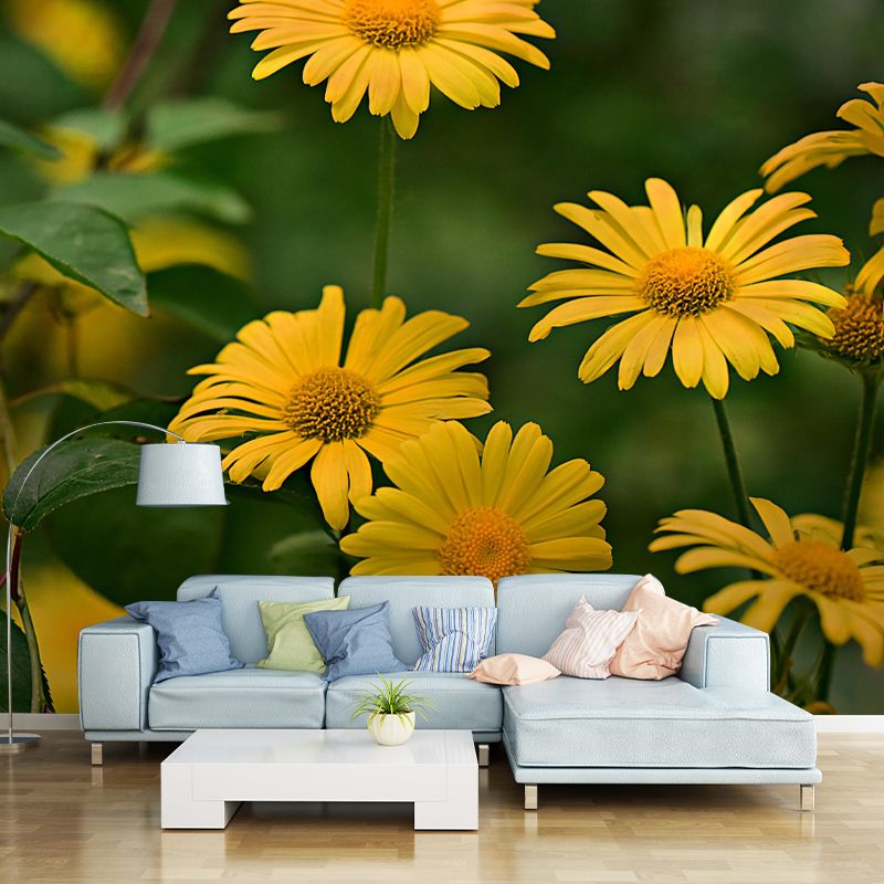 Customized Blooming Wildflowers Mural Wallpaper Contemporary for Guest Room Decor
