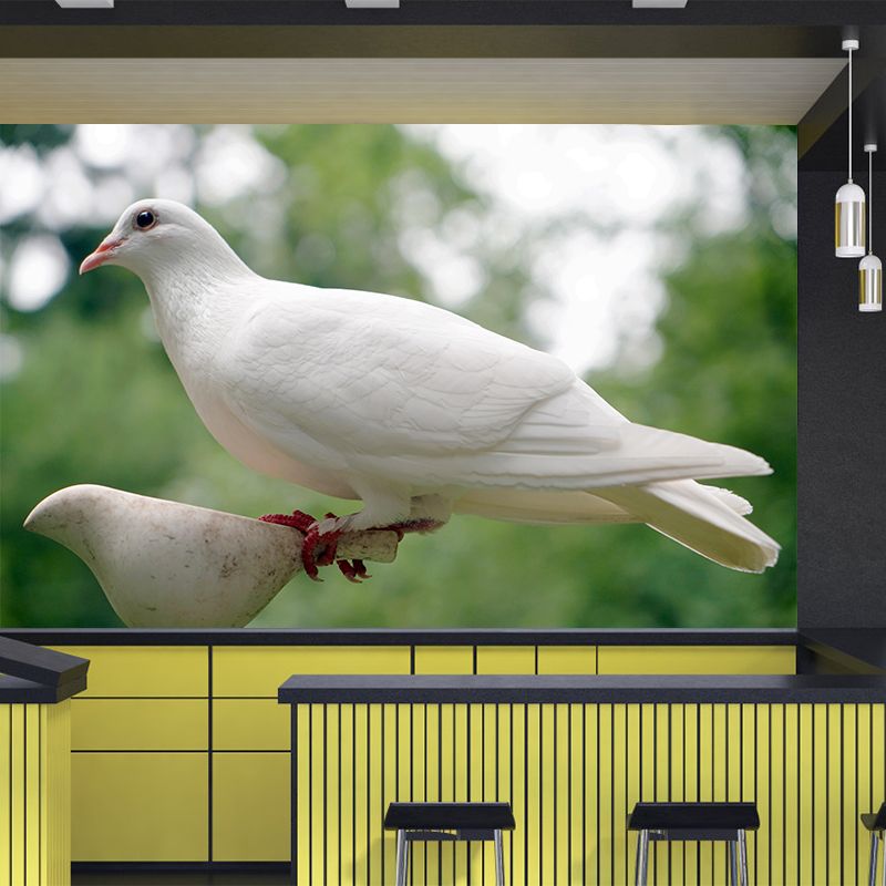White Pigeon Murals Moisture Resistant Contemporary Hallway Wall Decoration