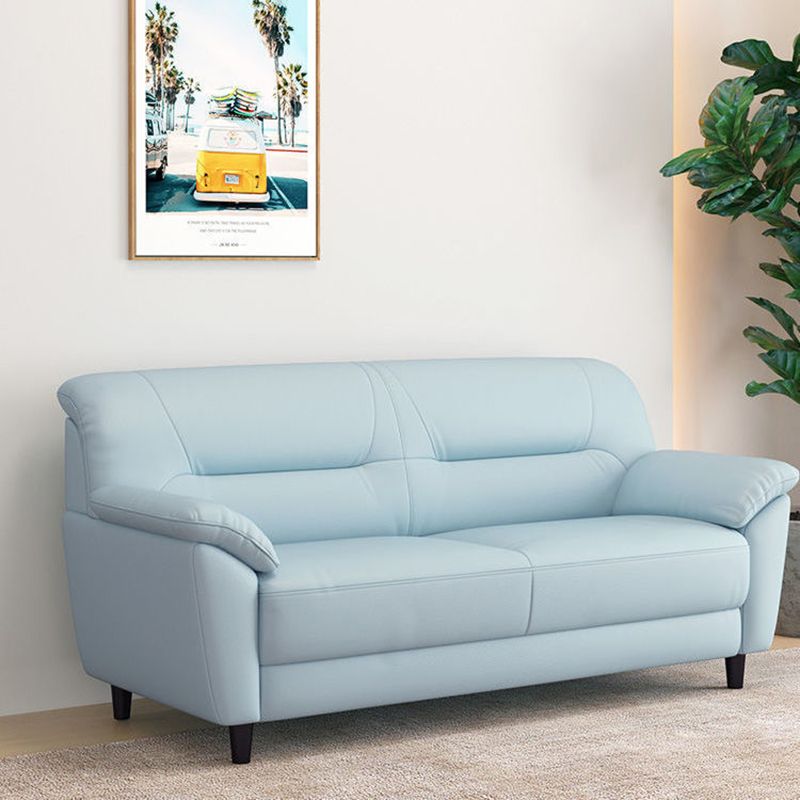 Polish Finish Sofa Pure Color Pillow Top Arm Sofa For Bonus Room