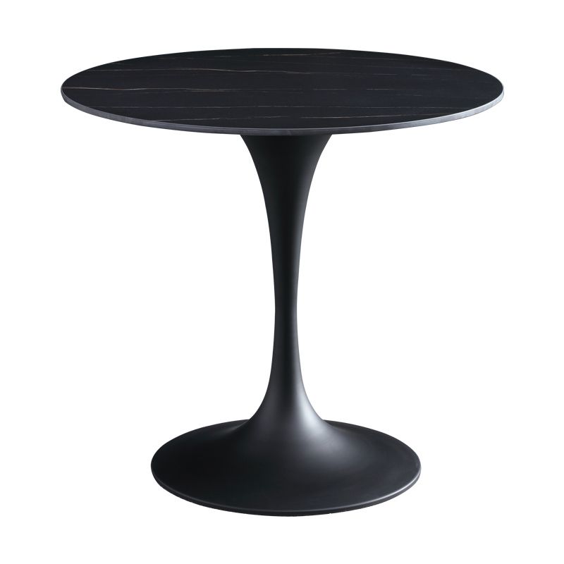 Contemporary Style Sintered Stone Dining Table Metallic Tulip Base Round Table for Home