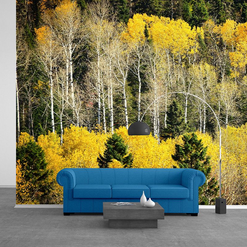 Contemporary Forest Mural Wallpaper Decorative Mildew Resistant Wall Art